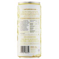Happy Culture Kombucha - Pineapple Lime 300ml Tin